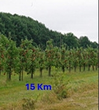 Loopclub Sportiva Gelrode - Gelro(n)de
